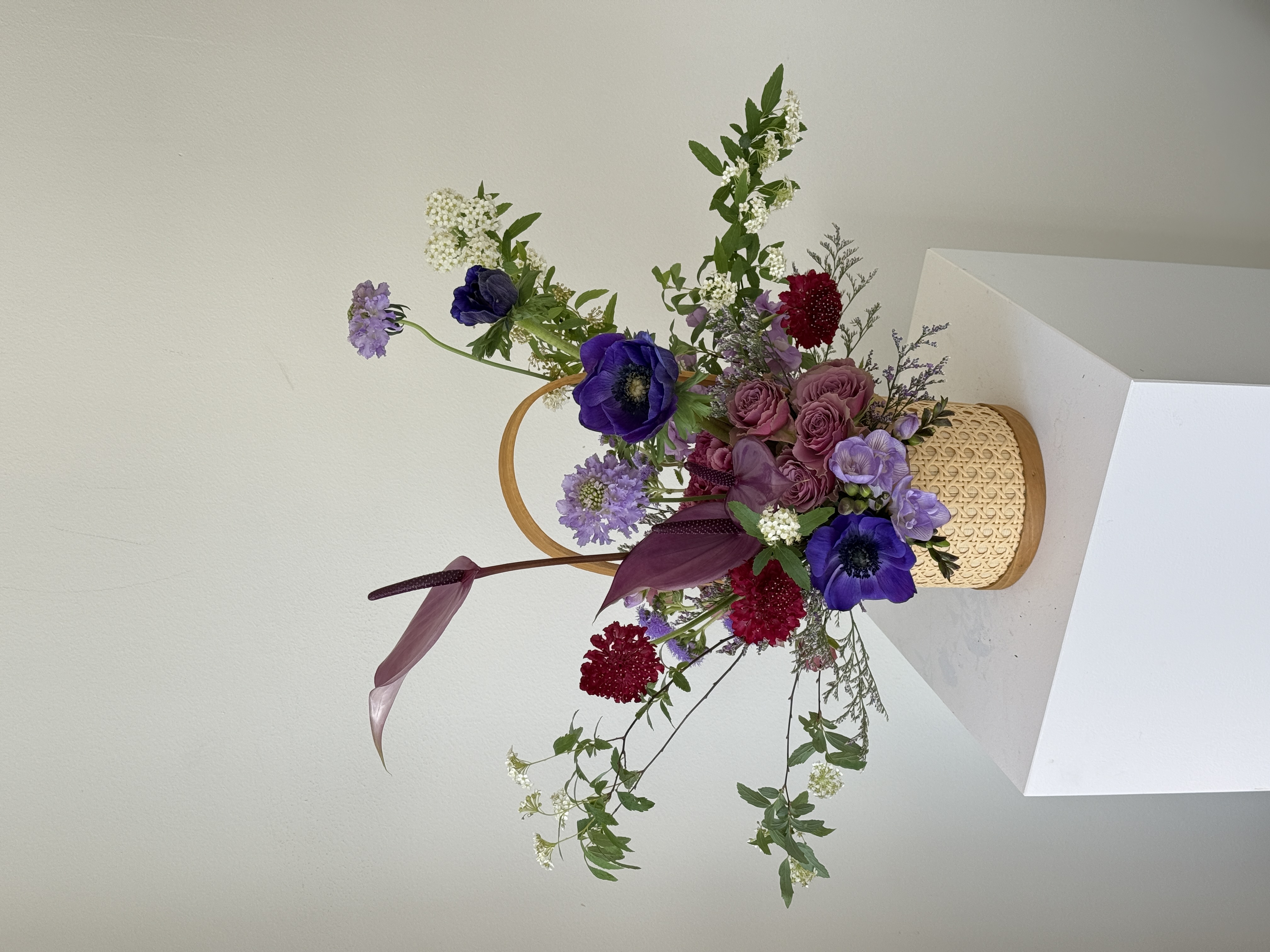 Flower / Plants
